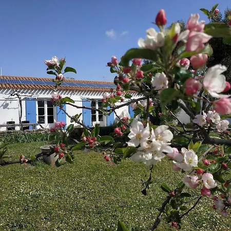 Дом отдыха Pierre - Ile D'oleron Jardin Сен-Пьер-д'Олерон