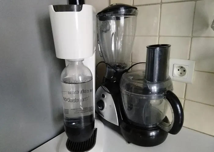 Pierre - Ile D'oleron Jardin