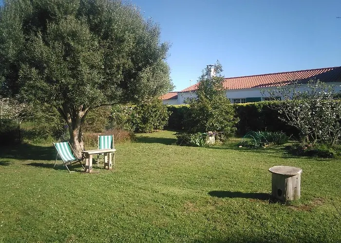 Pierre - Ile D'oleron Jardin