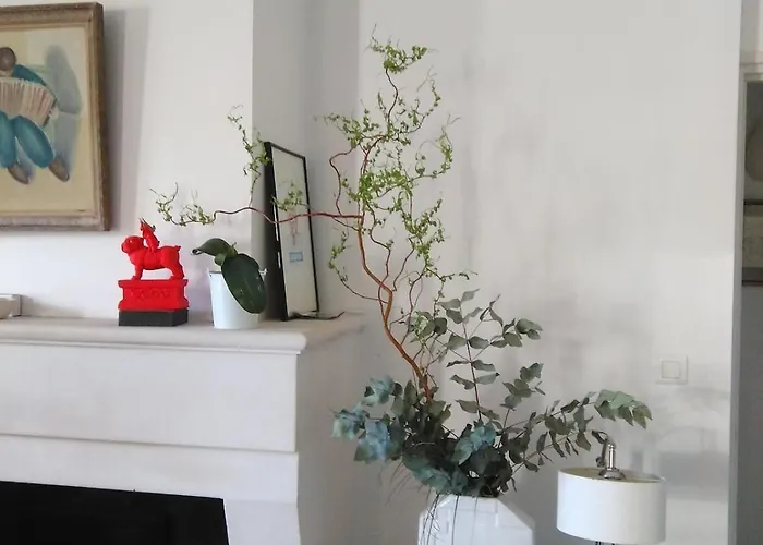 Pierre - Ile D'oleron Jardin *