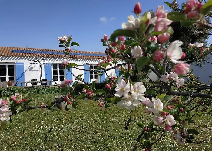 Ferienhaus Pierre - Ile D'oleron Jardin Saint-Pierre-d'Oleron
